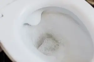 Flushing toilet.