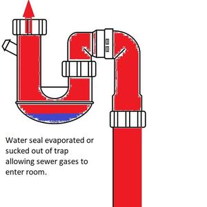 S-trap showing depleted water seal.